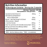 The Dream Body Stack™